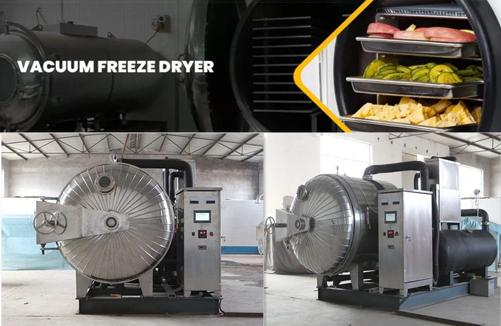 Heat Sensitivity Material Vacuum Type Drying Machine Vacuum Drying Oven Vacuum Tray Dryer