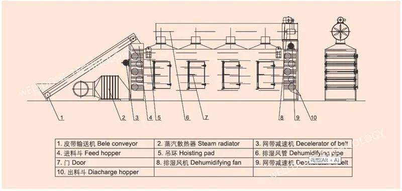 Dw Conveyor Mesh Belt Dryer for Vegetables Fruit Desiccated Coconut Plant Flower Leaf Agricultural Products Food Chemical Granule Strip Materials Drying Machine